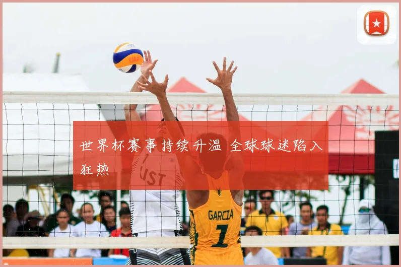 世界杯赛事持续升温 全球球迷陷入狂热