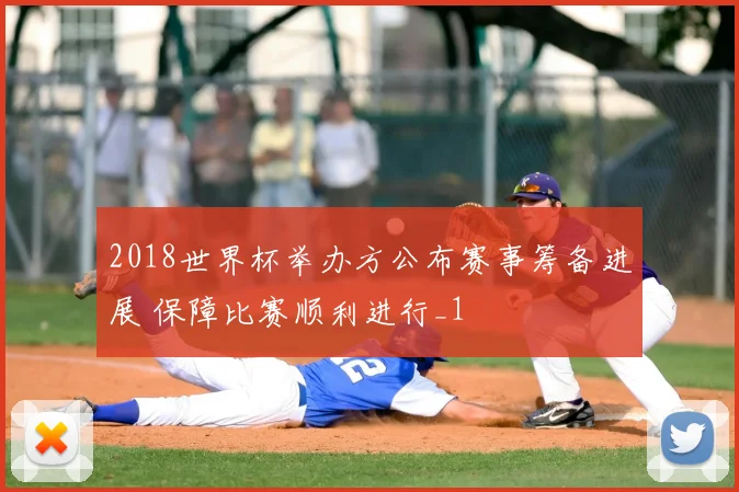 2018世界杯举办方公布赛事筹备进展 保障比赛顺利进行_1