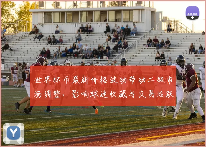 世界杯币最新价格波动带动二级市场调整,影响球迷收藏与交易活跃度