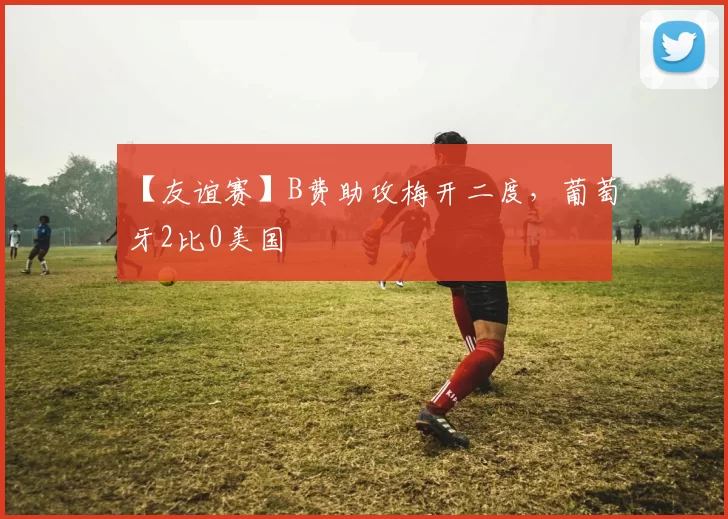 【友谊赛】B费助攻梅开二度，葡萄牙2比0美国