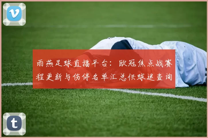 雨燕足球直播平台：欧冠焦点战赛程更新与伤停名单汇总供球迷查询
