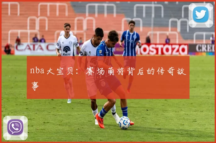 nba大宝贝：赛场萌将背后的传奇故事