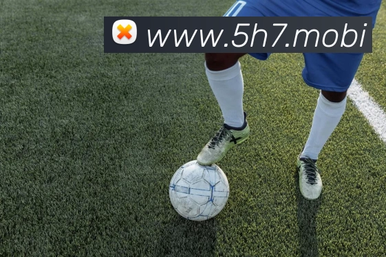 开云(中国)Kaiyun·官方网站 - 登录入口发展历程